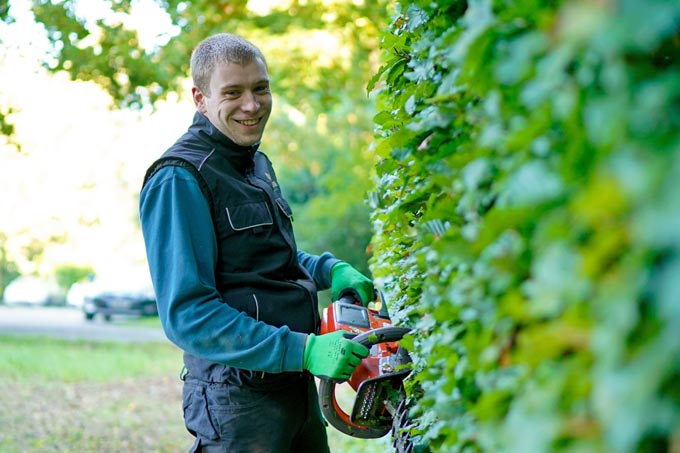 Gartenpflege Hecke schneiden