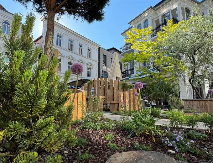 Besondere Bepflanzung in einem Stadtgarten