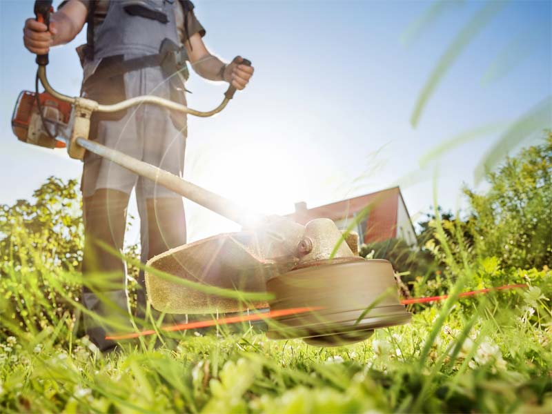 Gartenpflege mit Freischneider