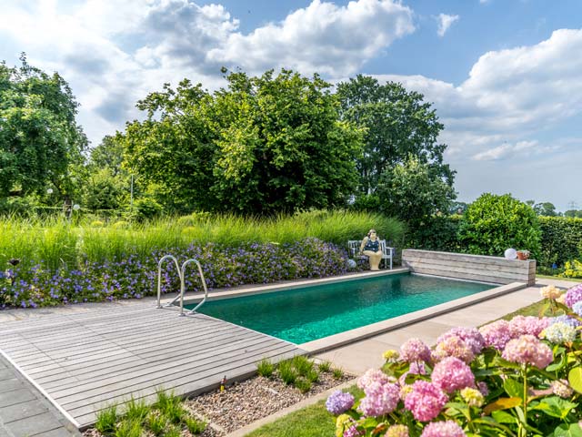 Neuanlage Pool mit Bepflanzung