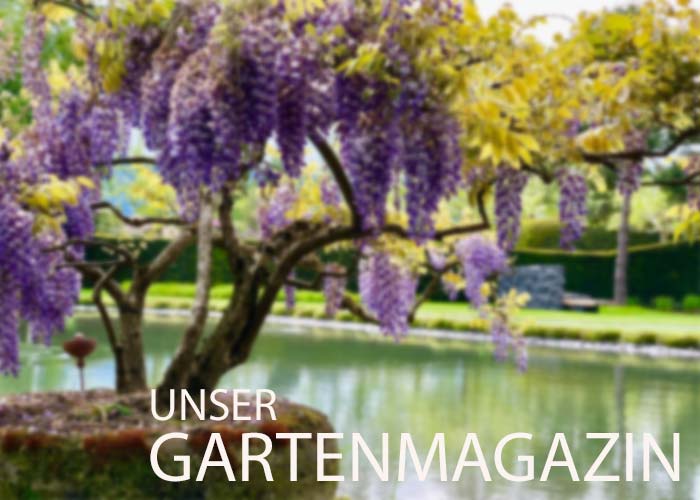 Spilker Gartenmagazin