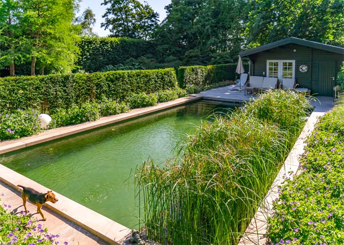 Großer Schwimmteich im Garten eingebettet